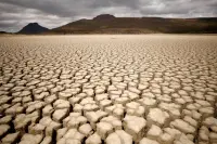 欧盟报告:欧洲今年干旱情况或500年最严重